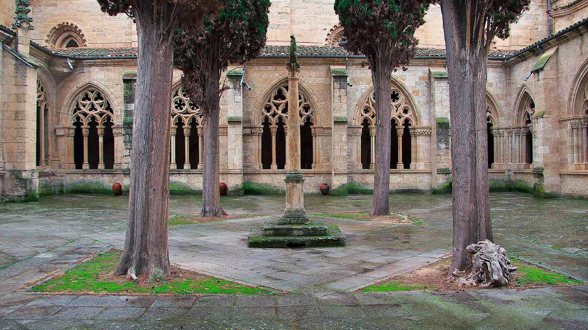 Logotipo de Palacio Antigua Audiencia