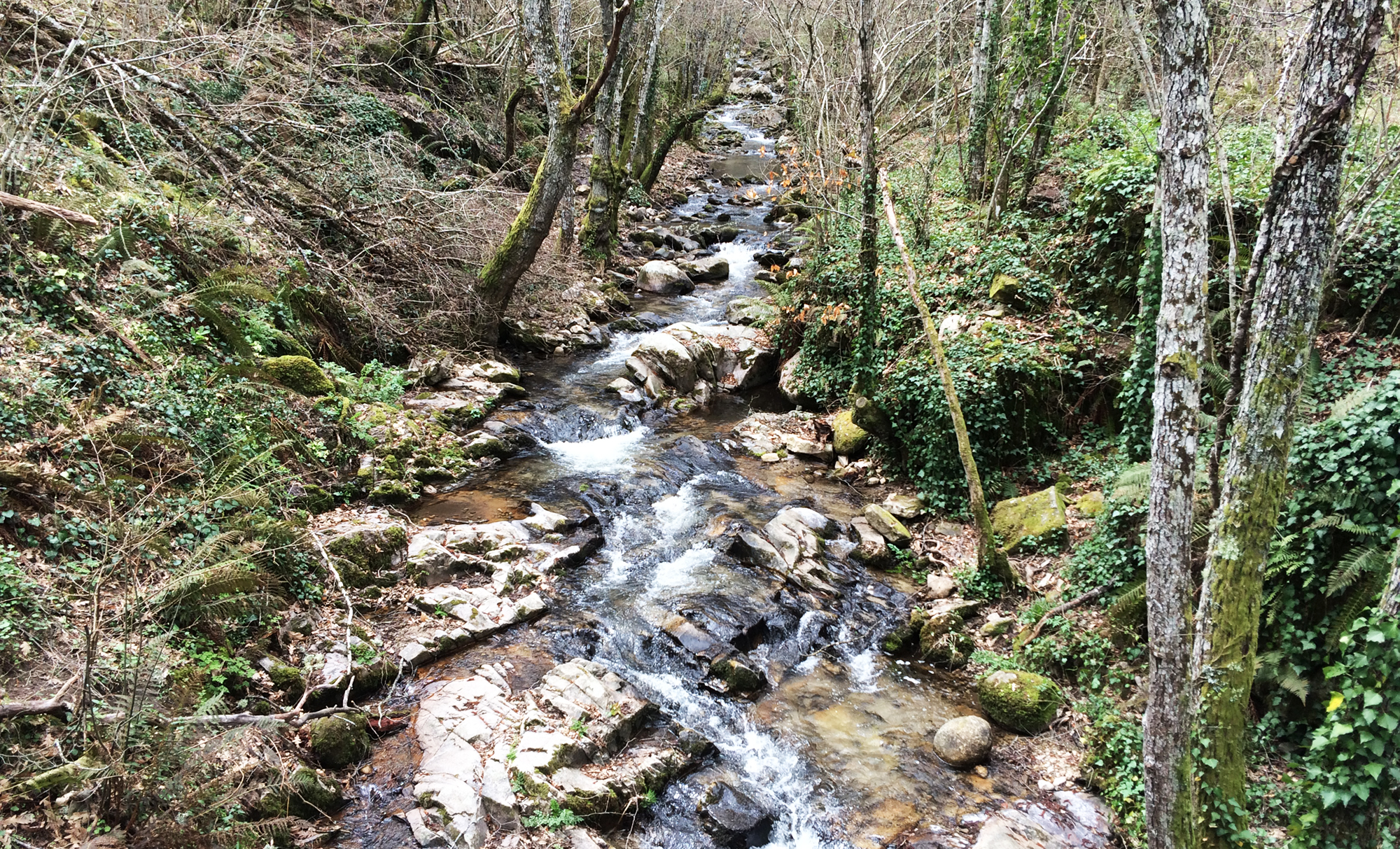 SIERRA DE FRANCIA - LAS BATUECAS